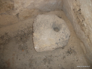 tapiccola-13-01-2013 09-59-52